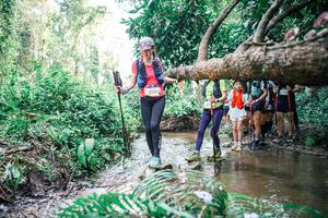 BIB: 
                            <button type="button" onclick="openModal(25475415)" class="btn btn-primary btn-sm float-right btn-popup" data-toggle="modal" data-target=".modal-high-quality">
                        <i class="fas fa-shopping-cart"></i> Add to Cart
                    </button>
                                            <button type="button" onclick="isThisMe(25475415, true)" class="btn btn-success btn-sm float-right btn-popup btn-isme hidden" data-toggle="tooltip" data-placement="bottom" title="นี่คือรูปของคุณใช่ไหม คลิกที่นี่เพื่อเอาเข้าอัลบั้ม">
                        <i class="fas fa-plus"></i> Add to album
                    </button>
                    <button type="button" onclick="isThisMe(25475415, false)" class="btn btn-warning btn-sm float-right btn-popup btn-isnotme hidden">
                        <i class="fas fa-ban"></i> Remove from album
                    </button>